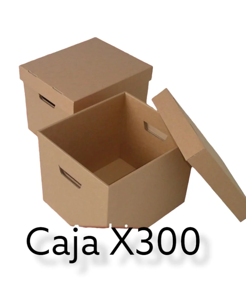 Caja Archivo Ref. X300